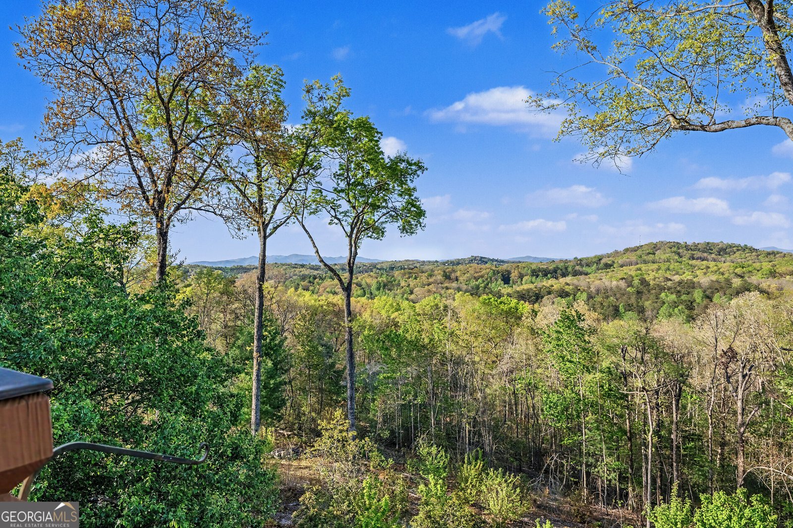 431 Sunrock Mountain Road Blue Ridge - Photo 52
