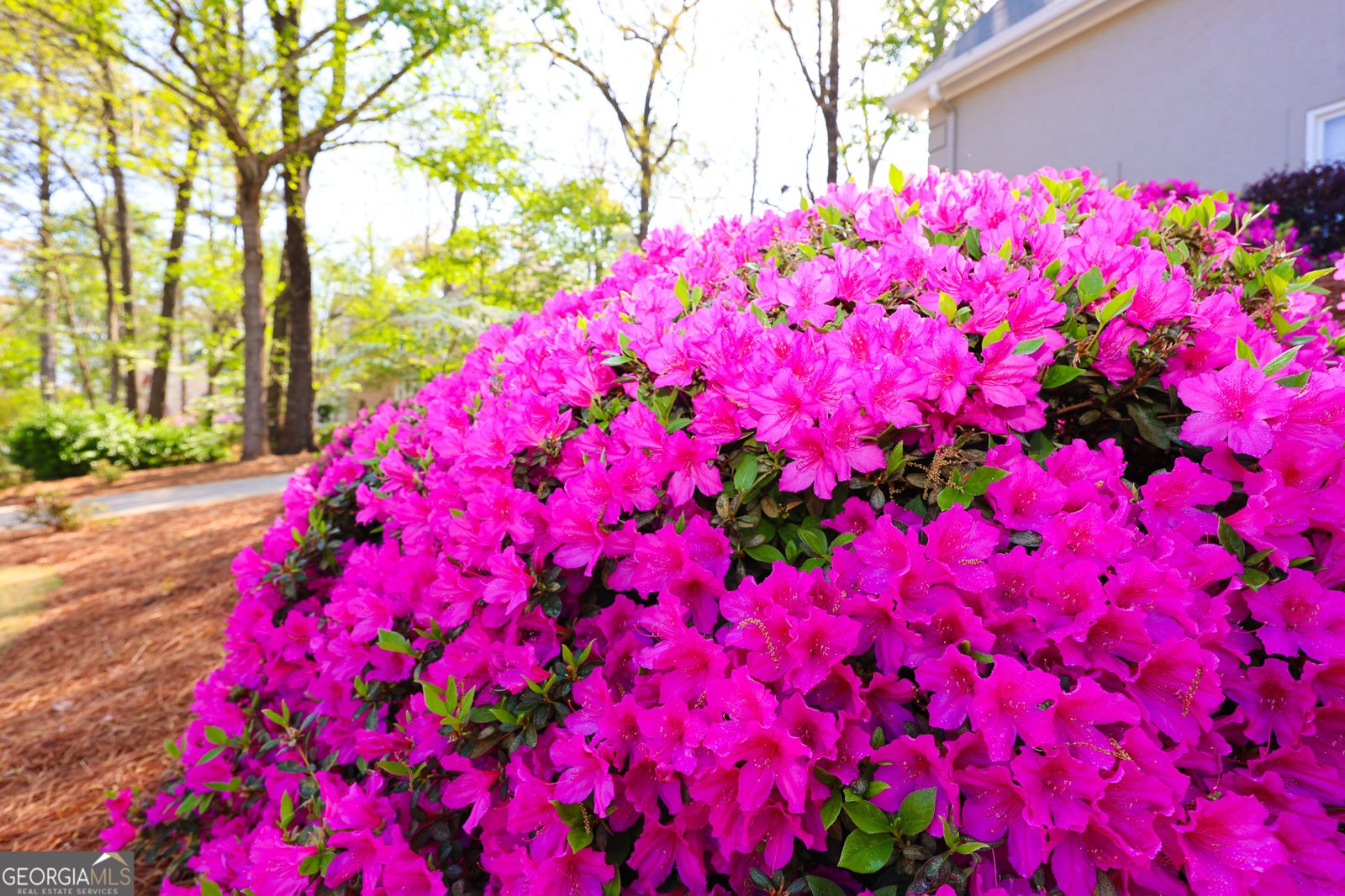 410 Falcon Creek Drive Suwanee - Photo 13