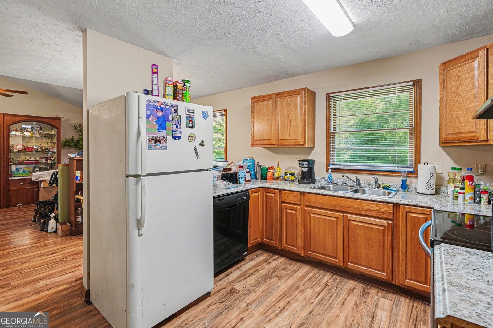 603 Wisso Road Griffin - Photo 9