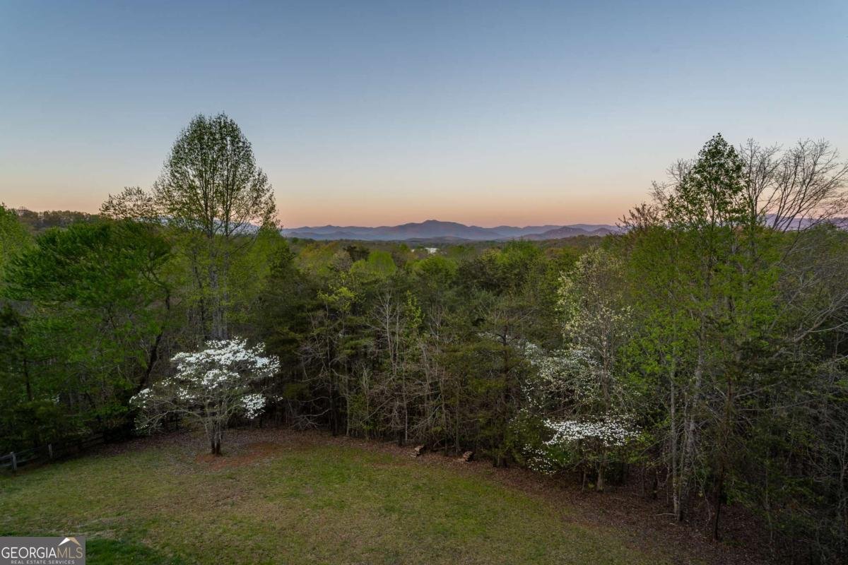4431 Furman Gribble Road Young Harris - Photo 25