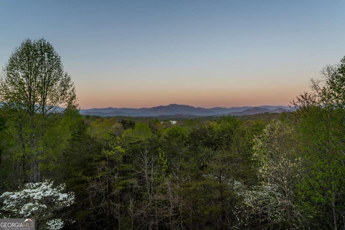 4431 Furman Gribble Road Young Harris - Photo 26