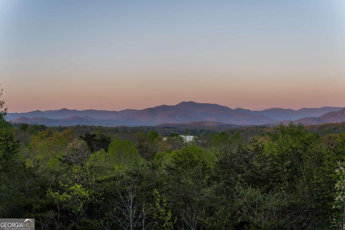 4431 Furman Gribble Road Young Harris - Photo 27