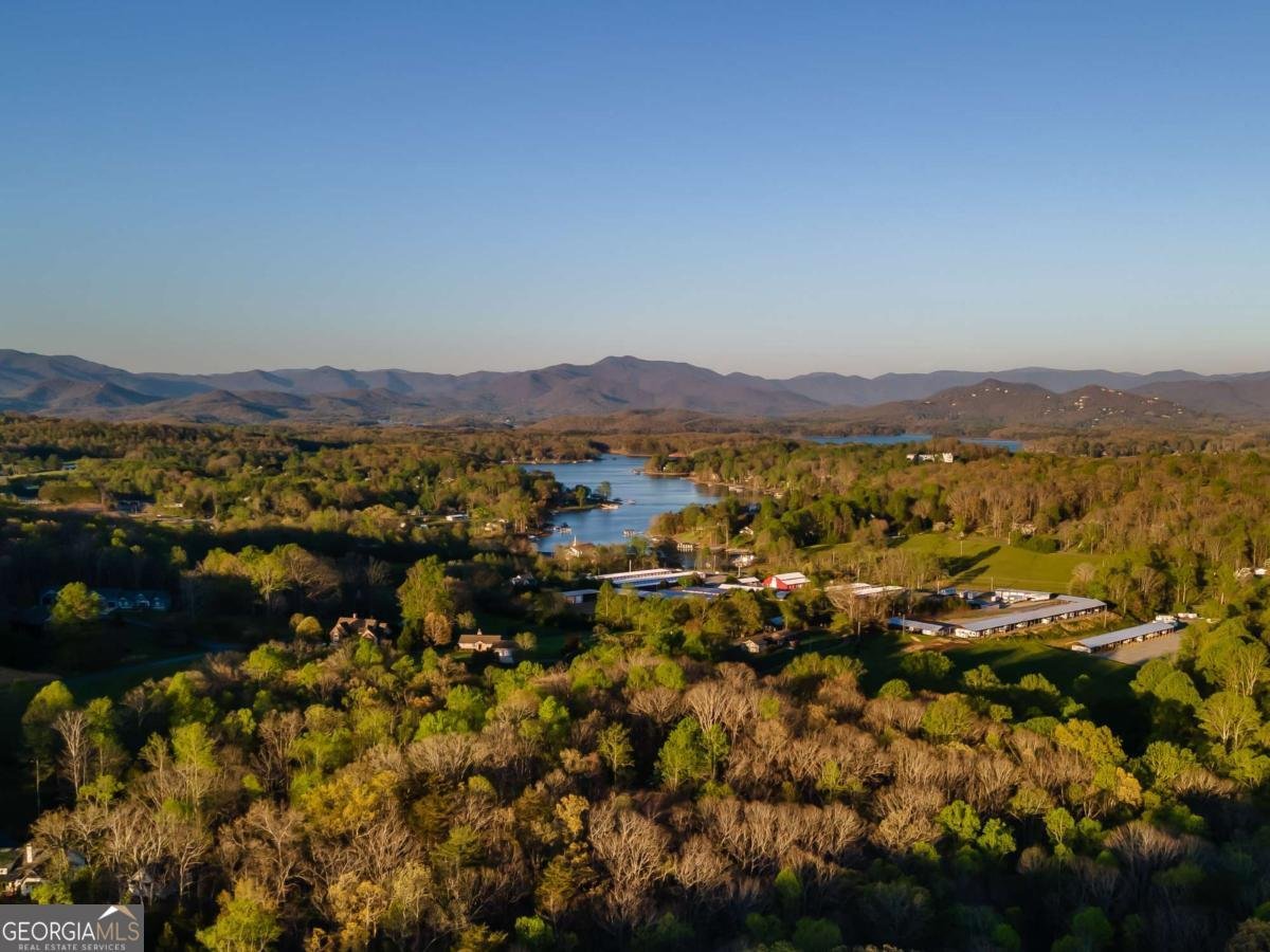 4431 Furman Gribble Road Young Harris - Photo 77