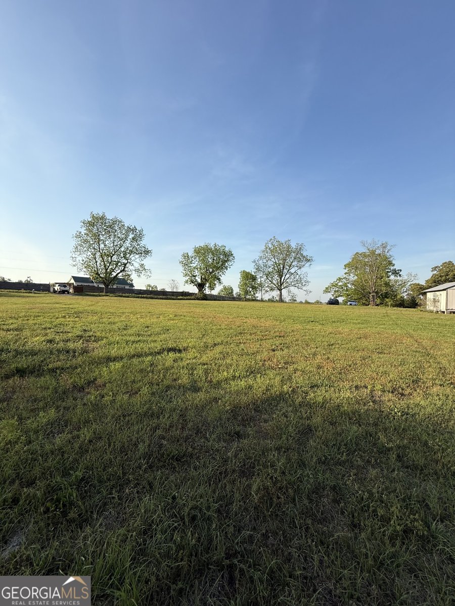 3856 Ga Highway 231 Harrison - Photo 35