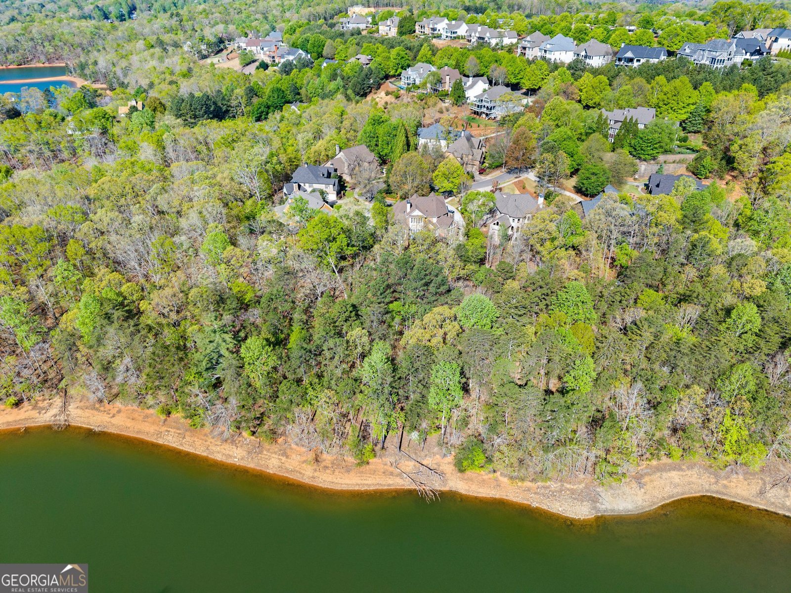 6221 Random Winds Bluff Gainesville - Photo 116