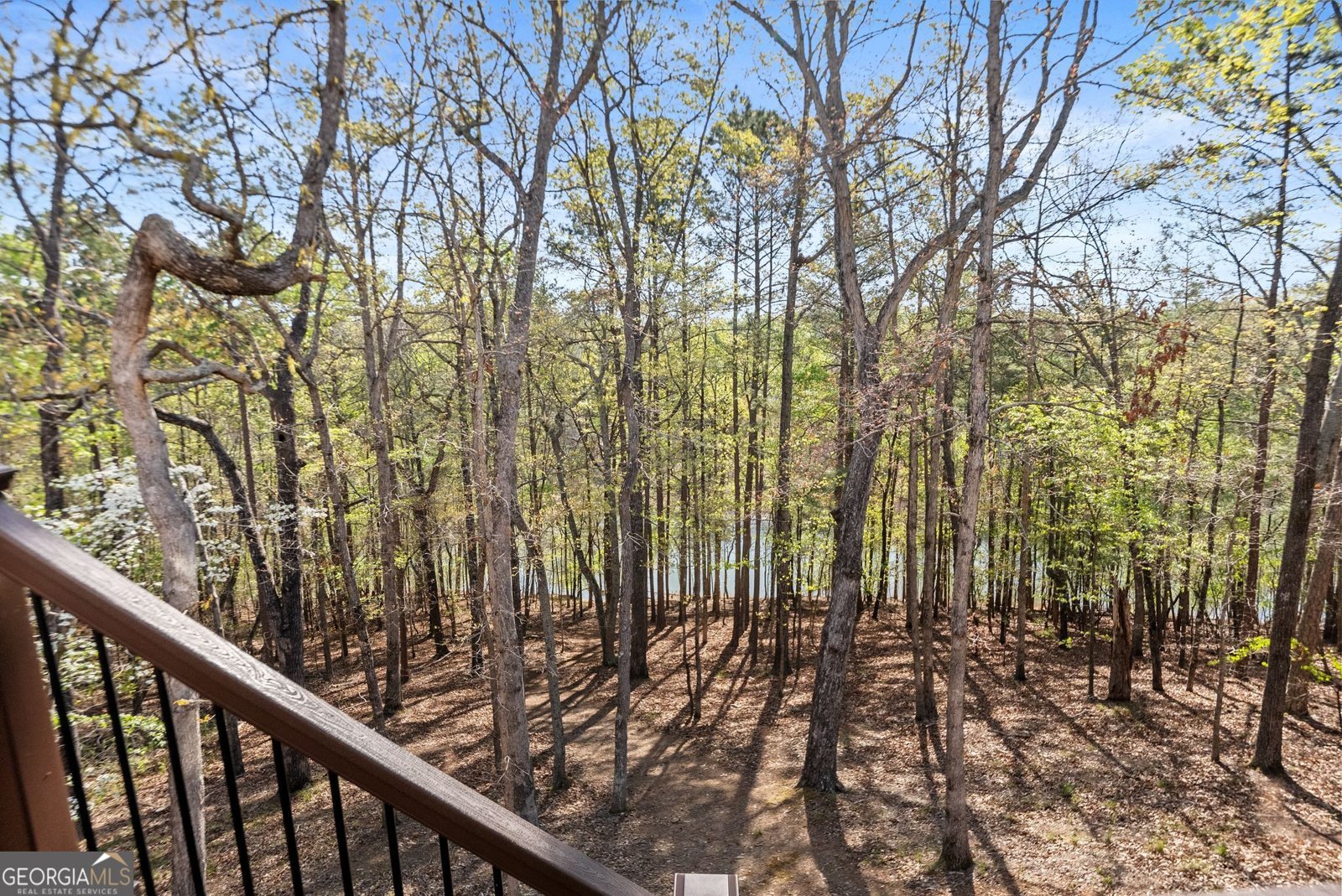 6221 Random Winds Bluff Gainesville - Photo 38