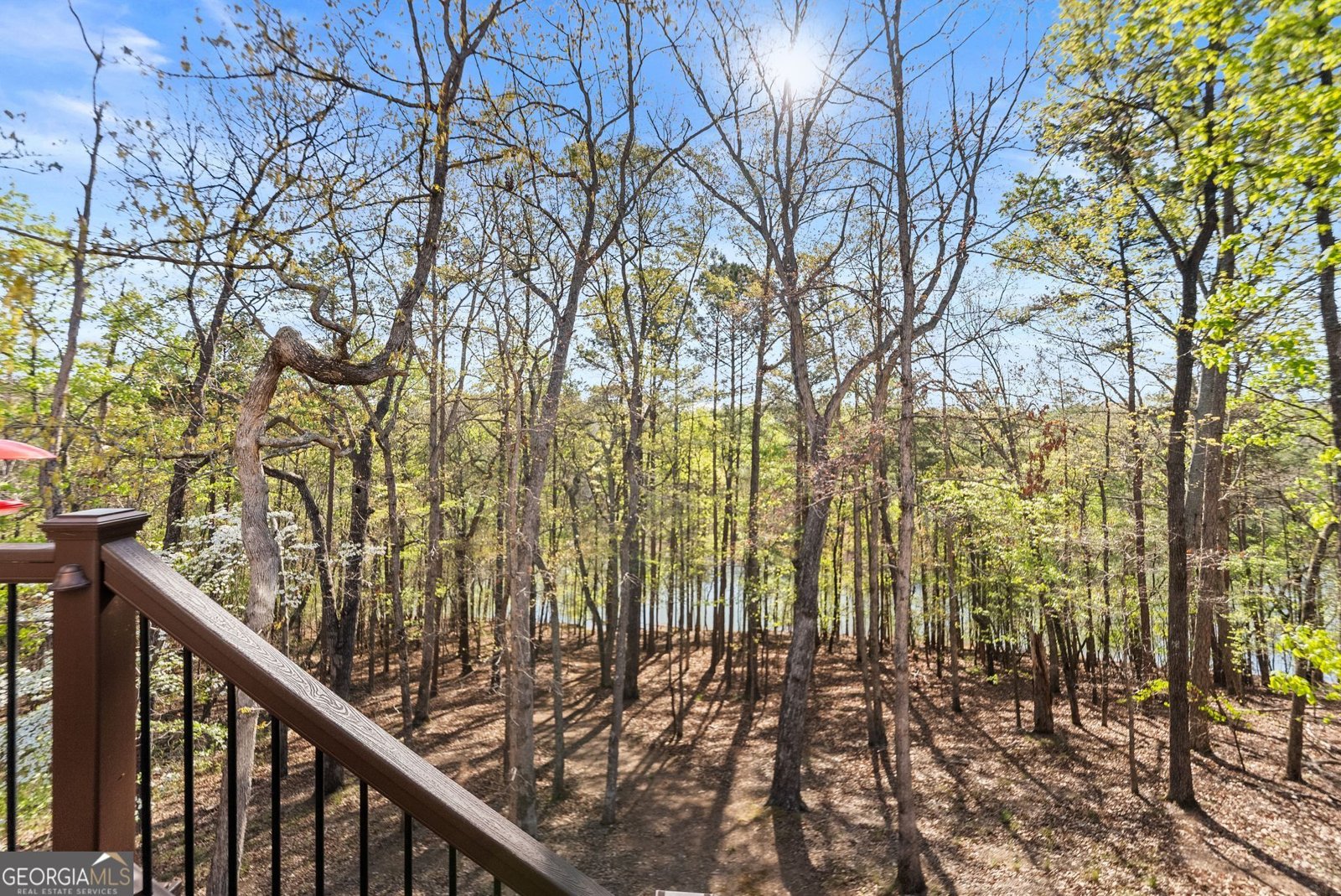 6221 Random Winds Bluff Gainesville - Photo 39