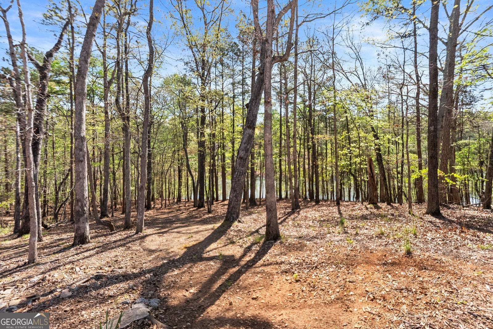 6221 Random Winds Bluff Gainesville - Photo 87