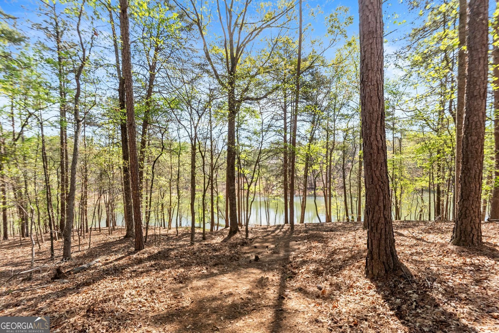 6221 Random Winds Bluff Gainesville - Photo 88