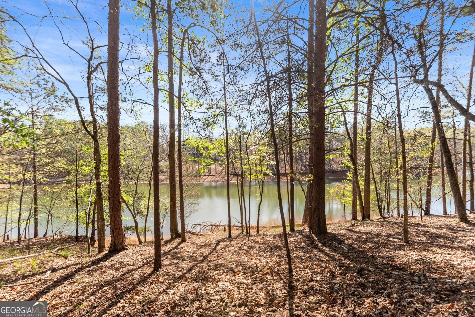 6221 Random Winds Bluff Gainesville - Photo 89