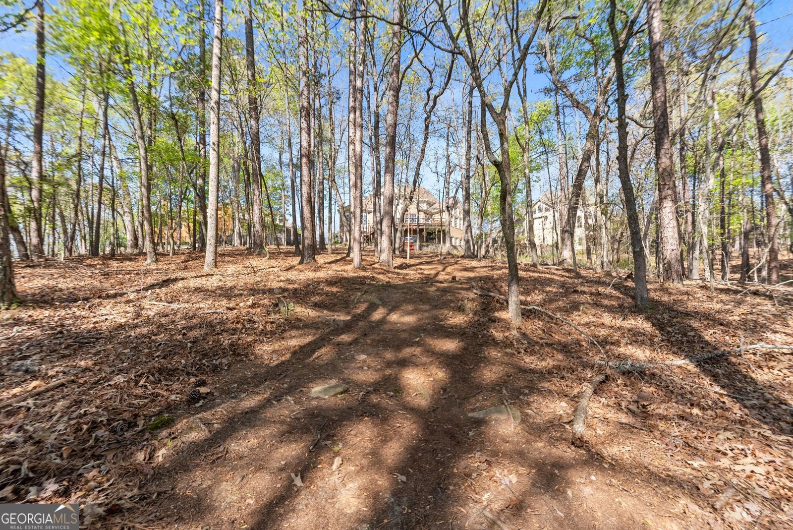 6221 Random Winds Bluff Gainesville - Photo 90