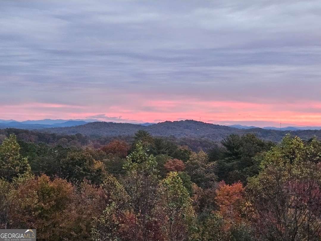 259 Red Bush School Road Blue Ridge - Photo 12