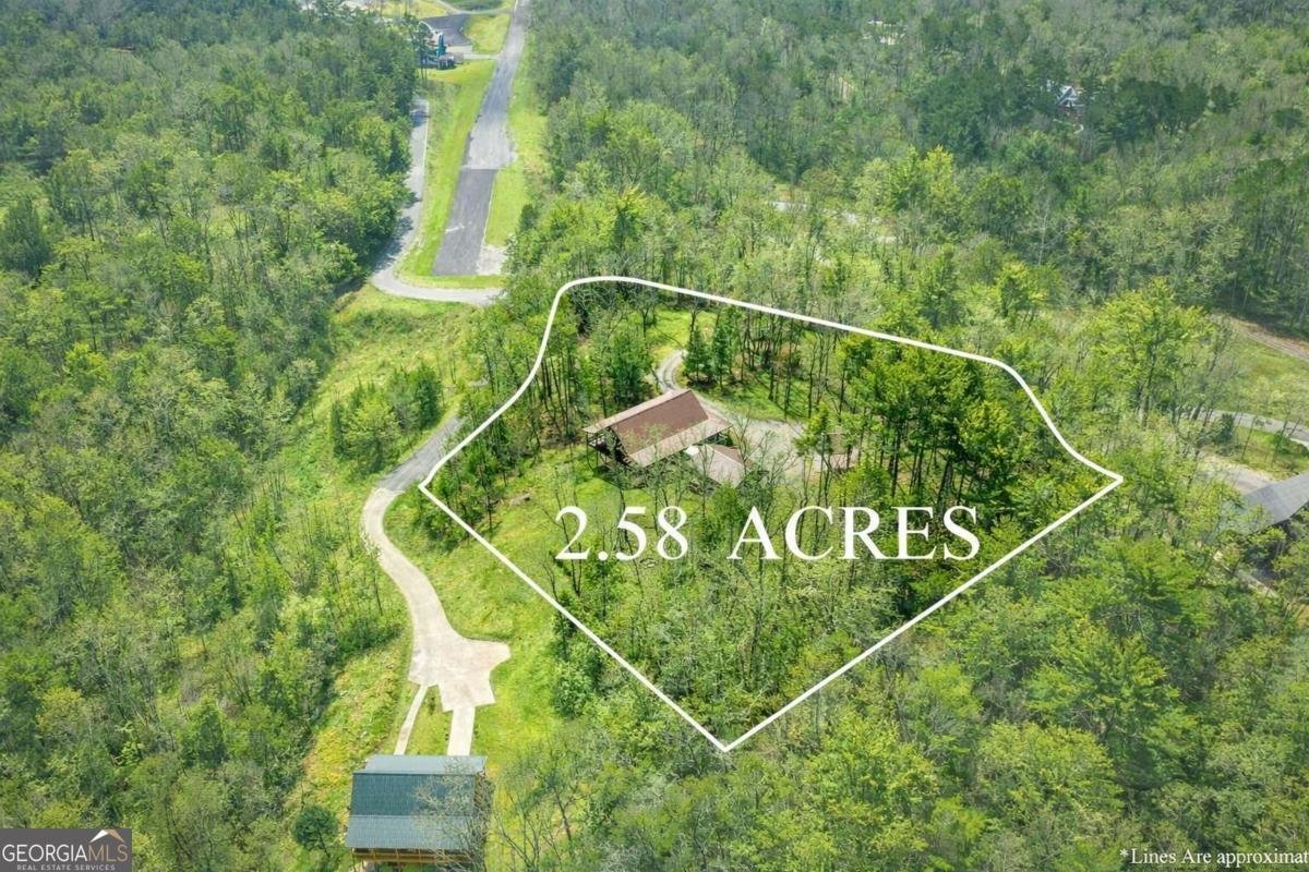 259 Red Bush School Road Blue Ridge - Photo 35