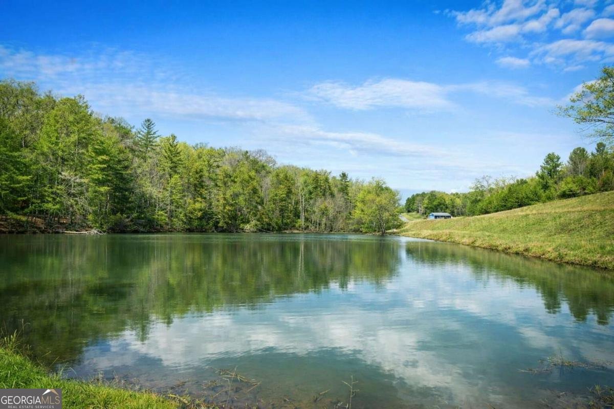 259 Red Bush School Road Blue Ridge - Photo 36