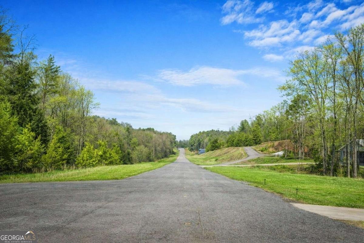 259 Red Bush School Road Blue Ridge - Photo 39