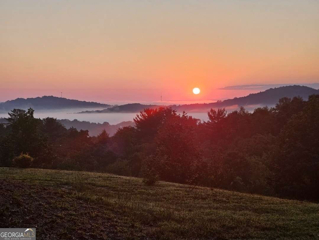 259 Red Bush School Road Blue Ridge - Photo 41