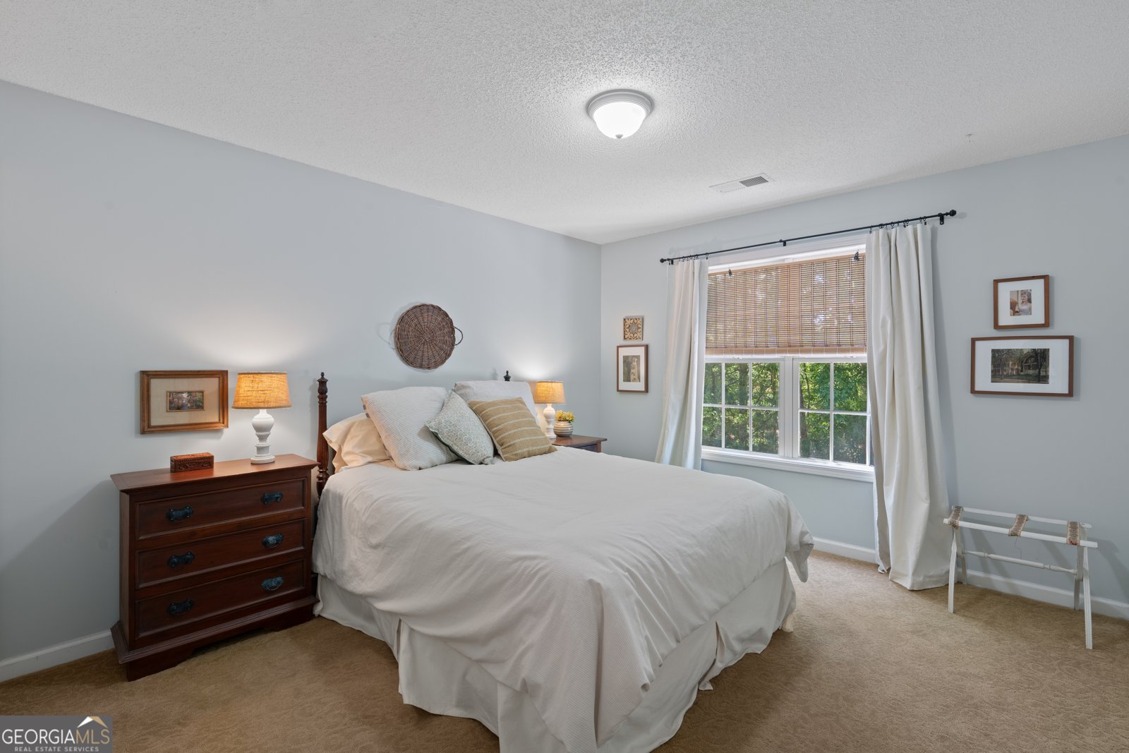 165 Swanson Valley Drive Tyrone - Photo 30