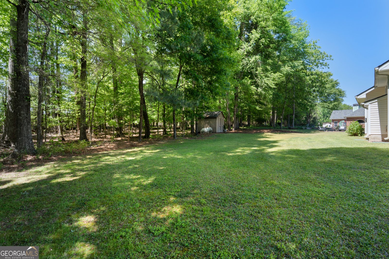 165 Swanson Valley Drive Tyrone - Photo 40