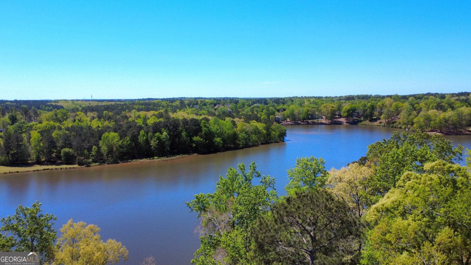 306 Chanda Cove McDonough - Photo 58