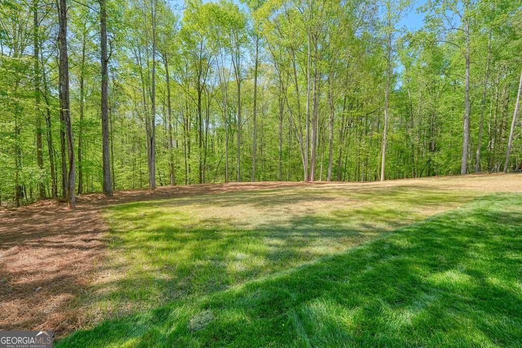 379 Marvin Land Lane Canton - Photo 70