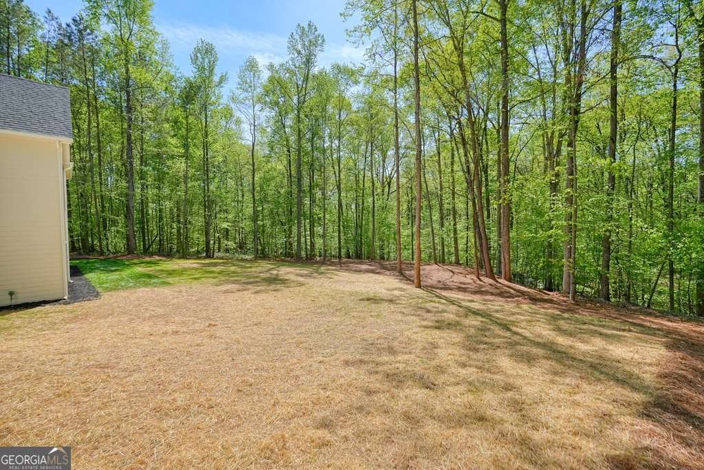 379 Marvin Land Lane Canton - Photo 73