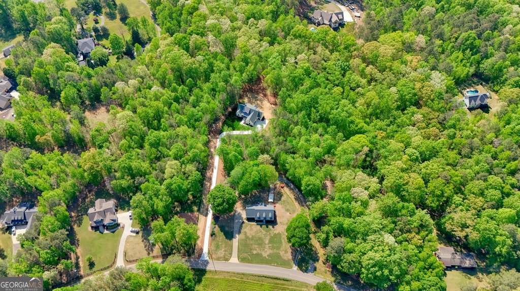 379 Marvin Land Lane Canton - Photo 75