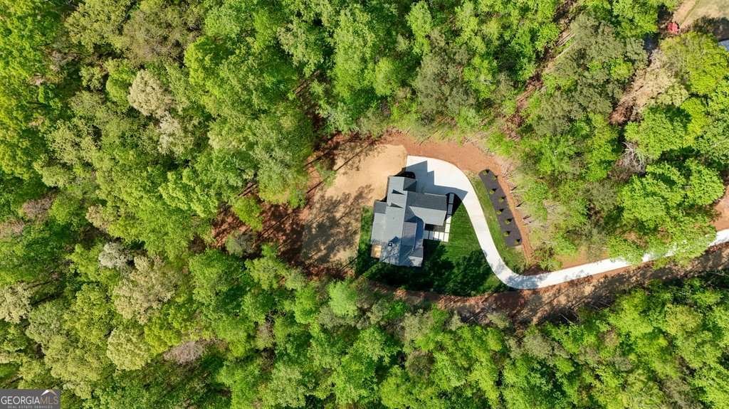 379 Marvin Land Lane Canton - Photo 77