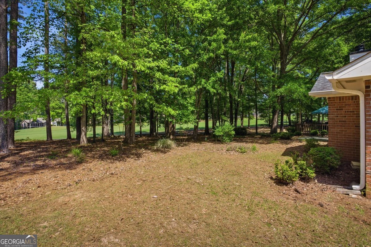 124 Crofts Corner Peachtree City - Photo 43
