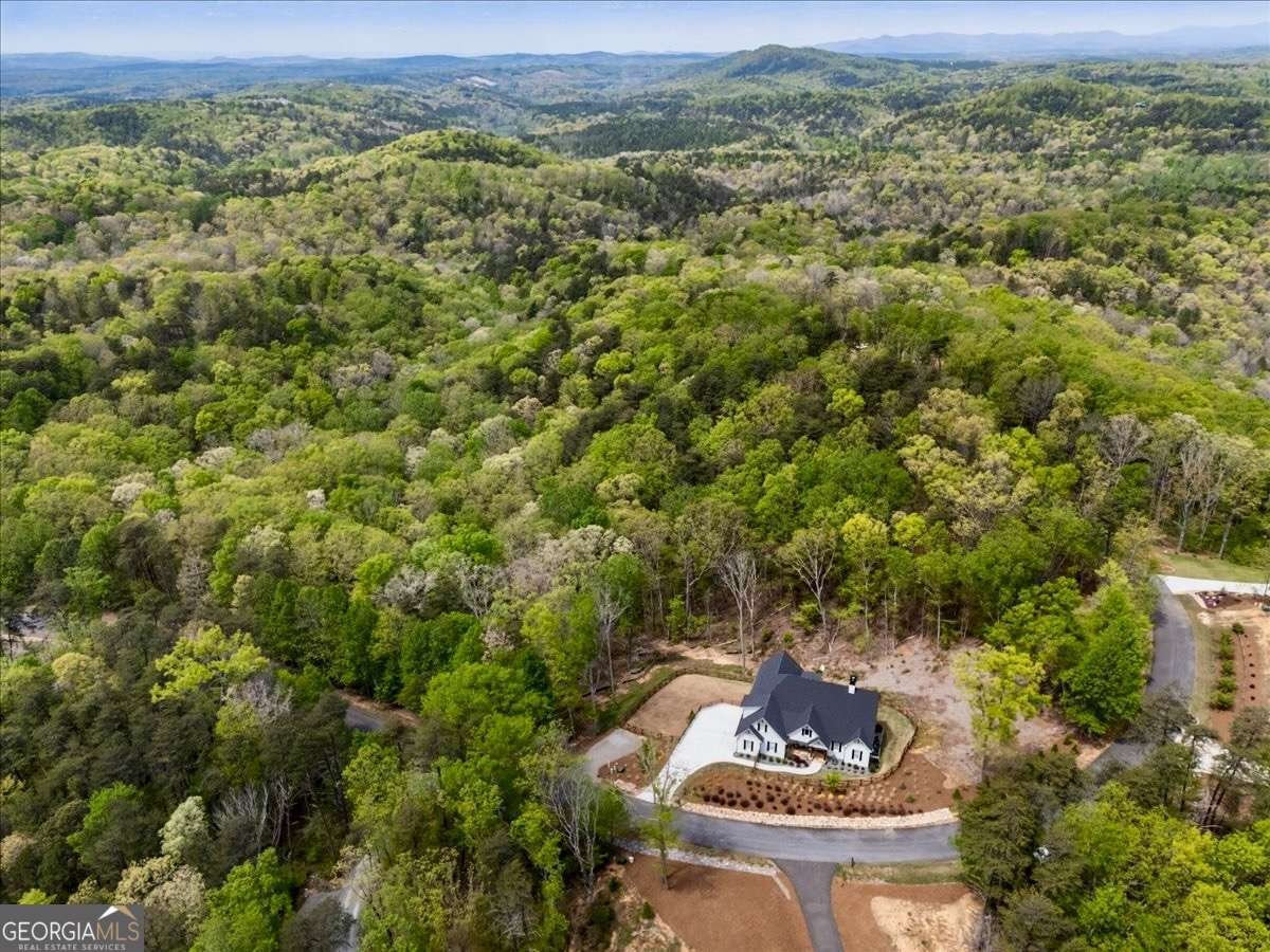 589 Brown Deer Drive Talking Rock - Photo 52