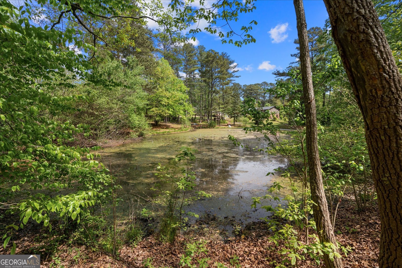 4962 Cherrydale Drive Douglasville - Photo 41