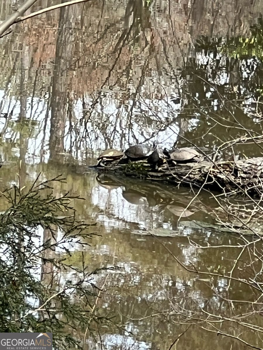 4962 Cherrydale Drive Douglasville - Photo 42