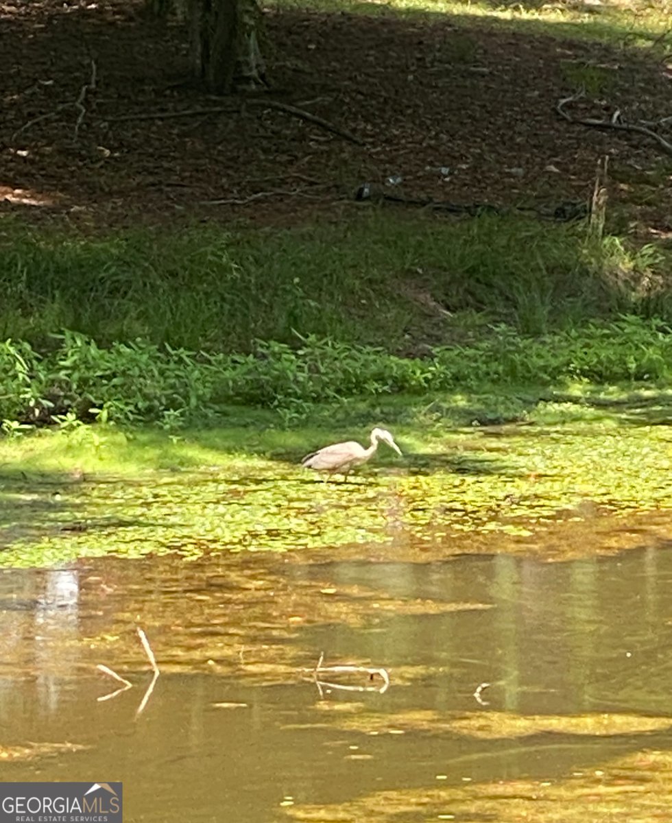 4962 Cherrydale Drive Douglasville - Photo 43