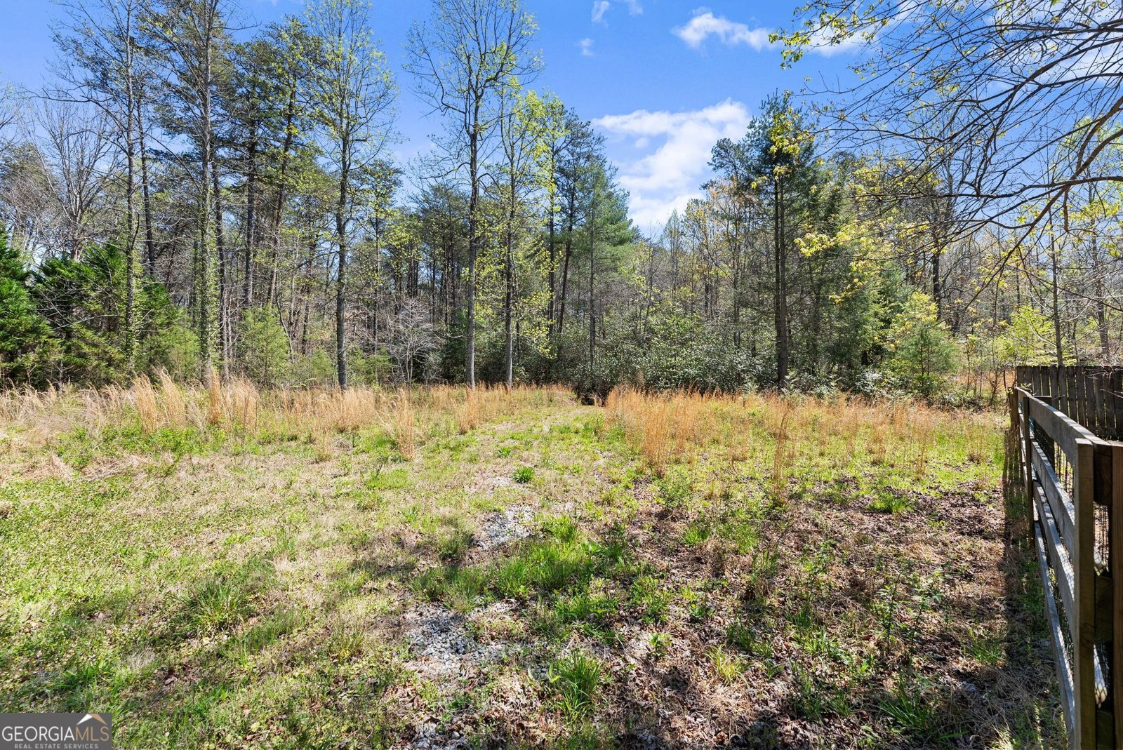 290 Chastain Road Sautee Nacoochee - Photo 59