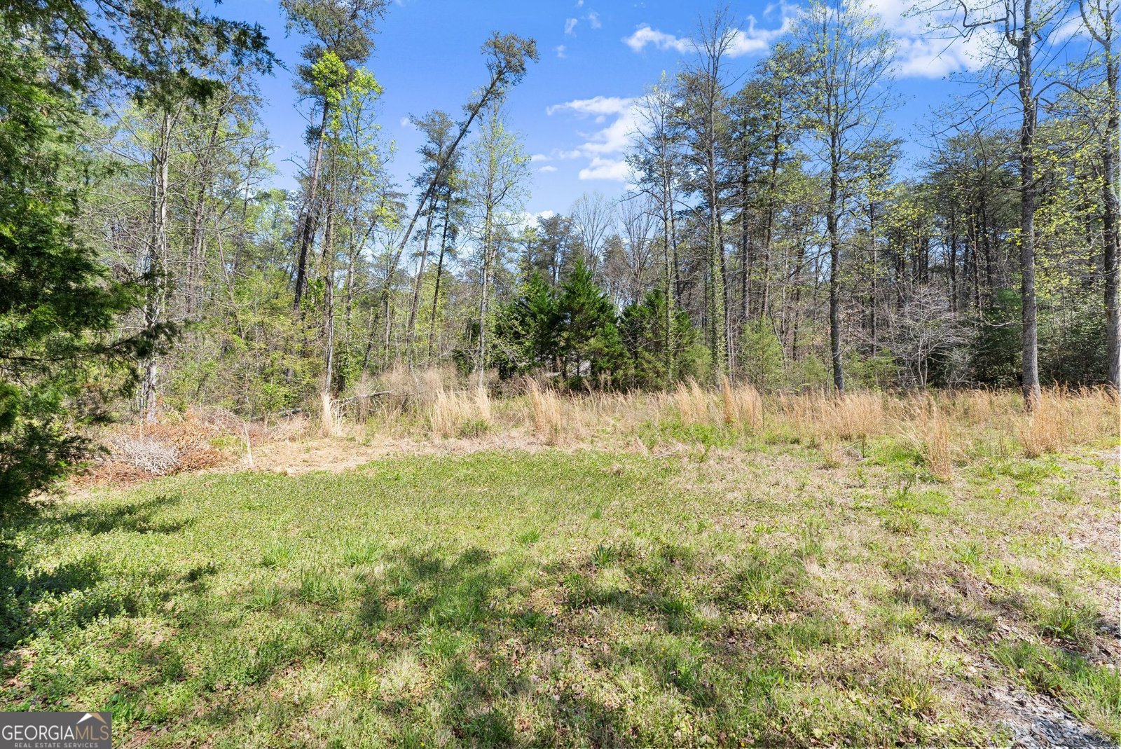 290 Chastain Road Sautee Nacoochee - Photo 60