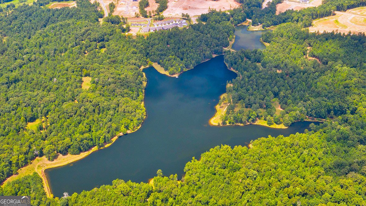 522 Great Salt Lane Hoschton - Photo 30