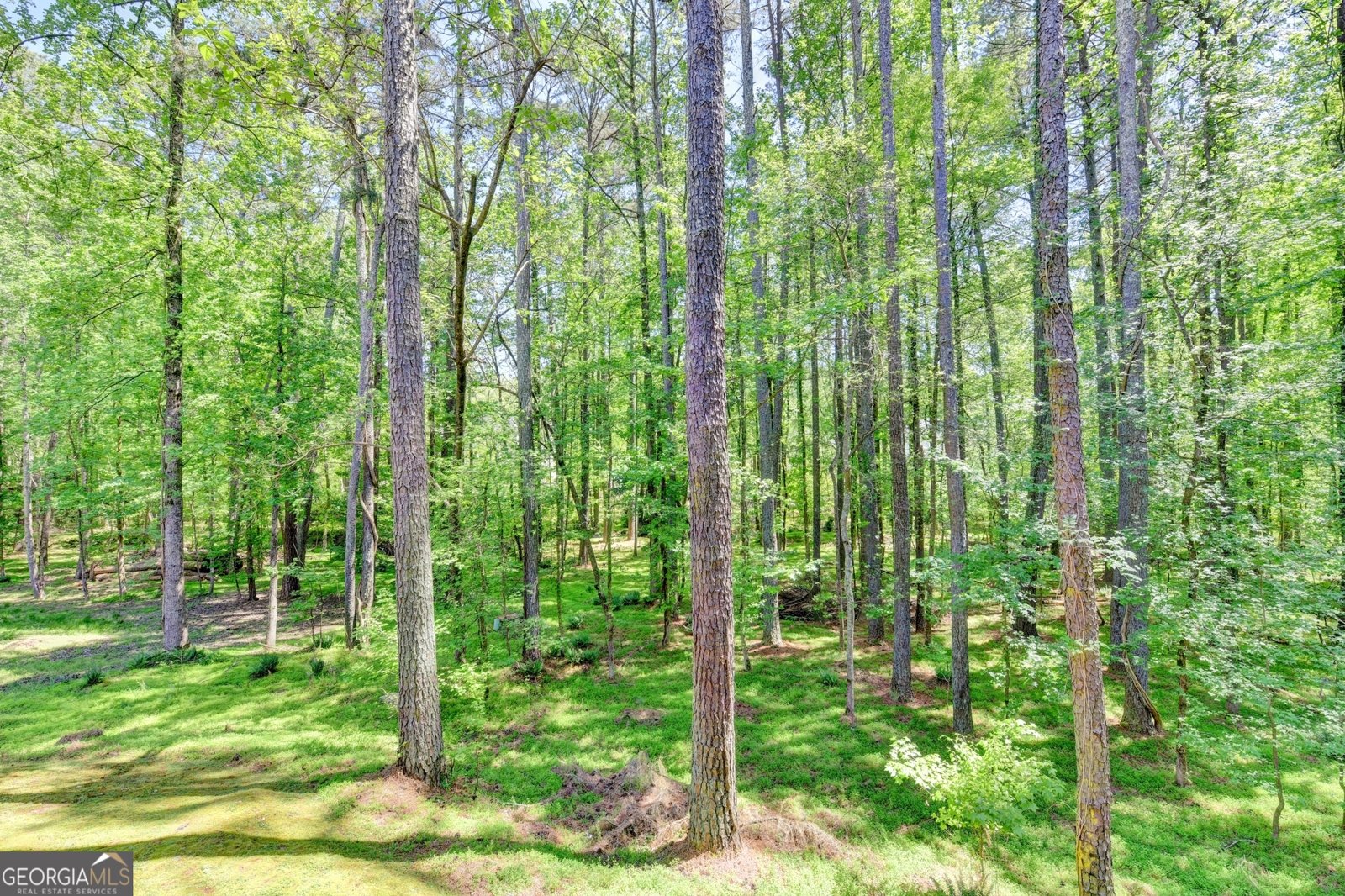 4564 Campenille Trace Suwanee - Photo 89