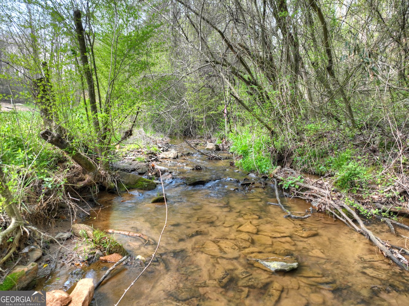 1072 Tails Creek Road Ellijay - Photo 52