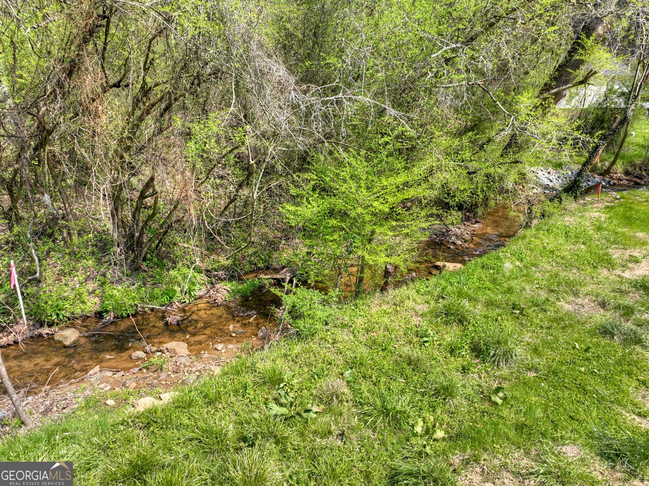 1072 Tails Creek Road Ellijay - Photo 53