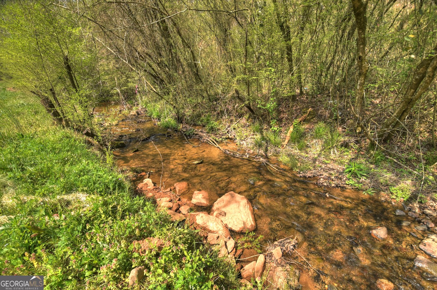 1072 Tails Creek Road Ellijay - Photo 54