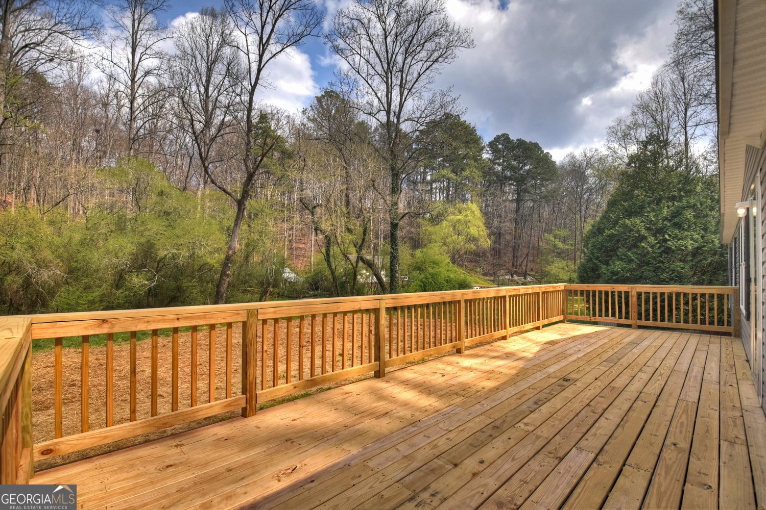 1072 Tails Creek Road Ellijay - Photo 6