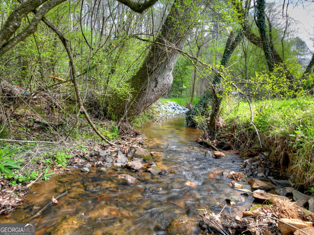 1072 Tails Creek Road Ellijay - Photo 7