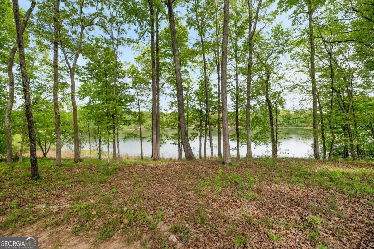 210 Darwish Drive Mcdonough - Photo 34