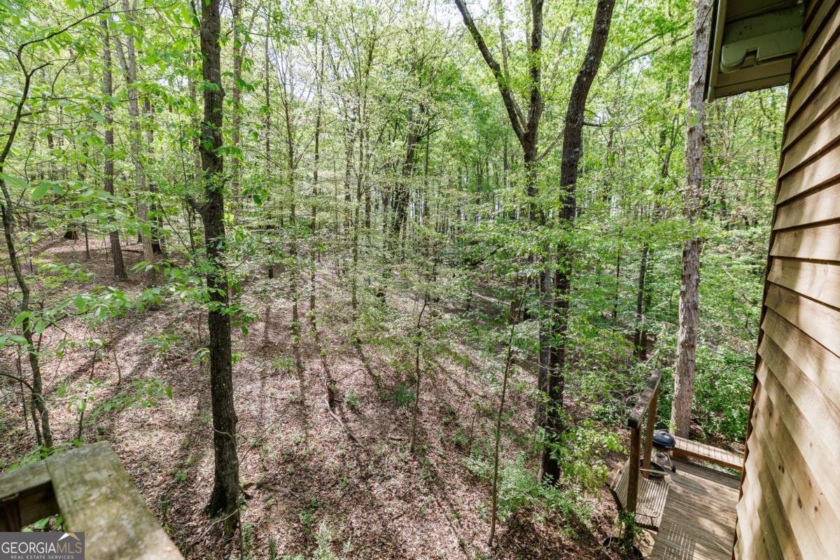 150 Hidden Hills Lane Athens - Photo 56