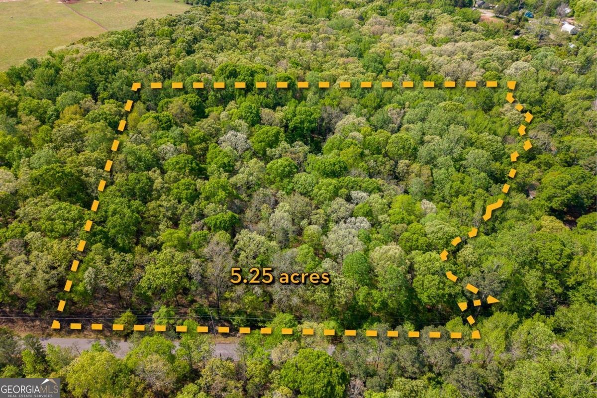 150 Hidden Hills Lane Athens - Photo 60