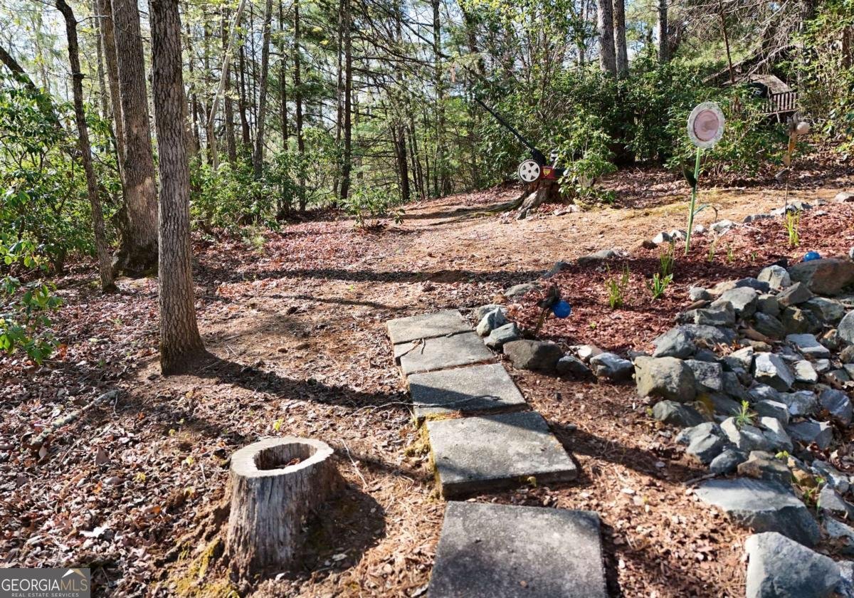 181 Morgan Ridge Court Young Harris - Photo 6