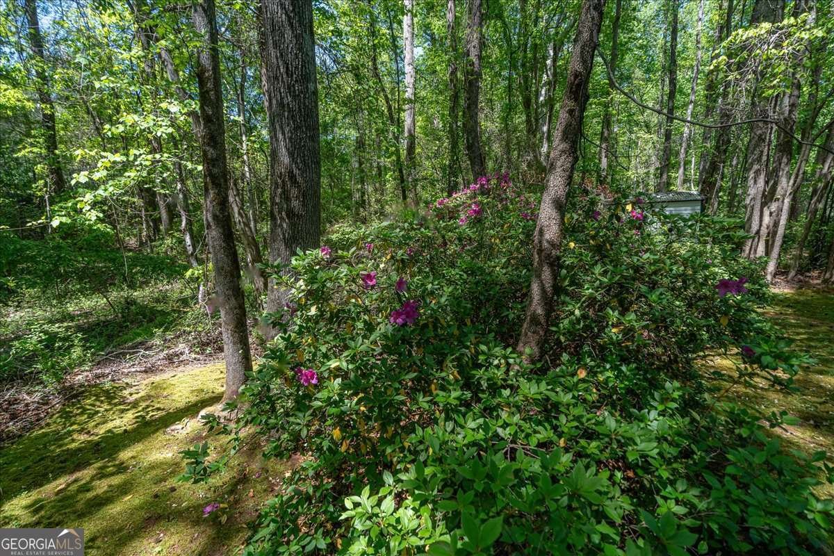 234 Concord Drive Watkinsville - Photo 31