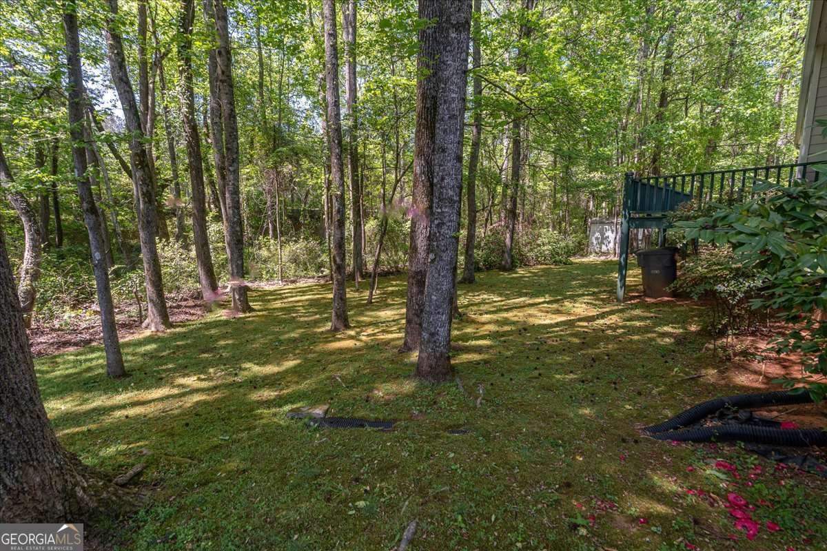 234 Concord Drive Watkinsville - Photo 40