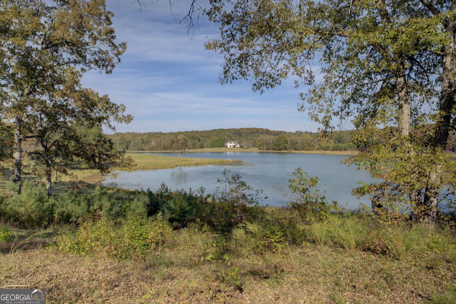 431 Abrams Road Silver Creek - Photo 73