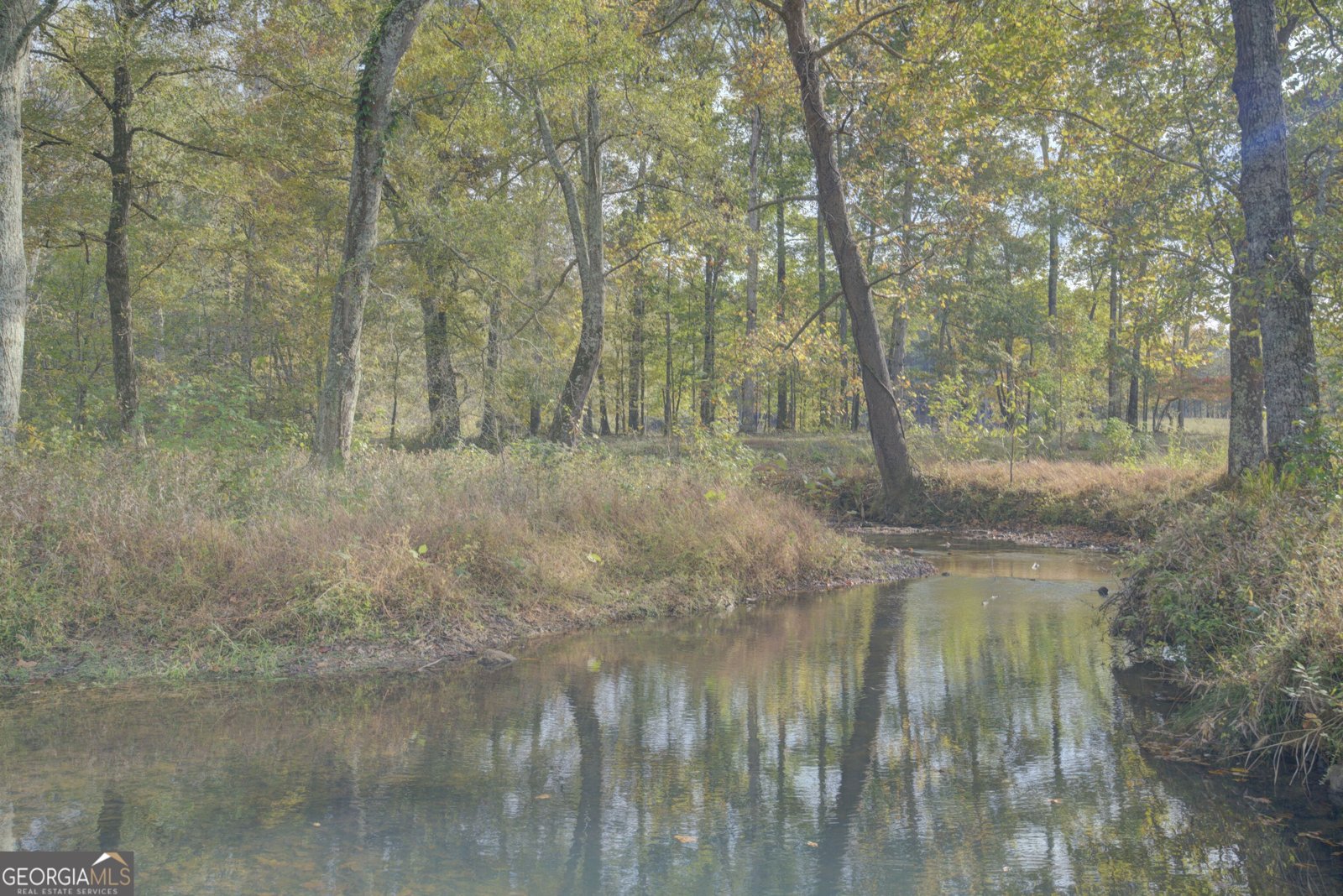 431 Abrams Road Silver Creek - Photo 75