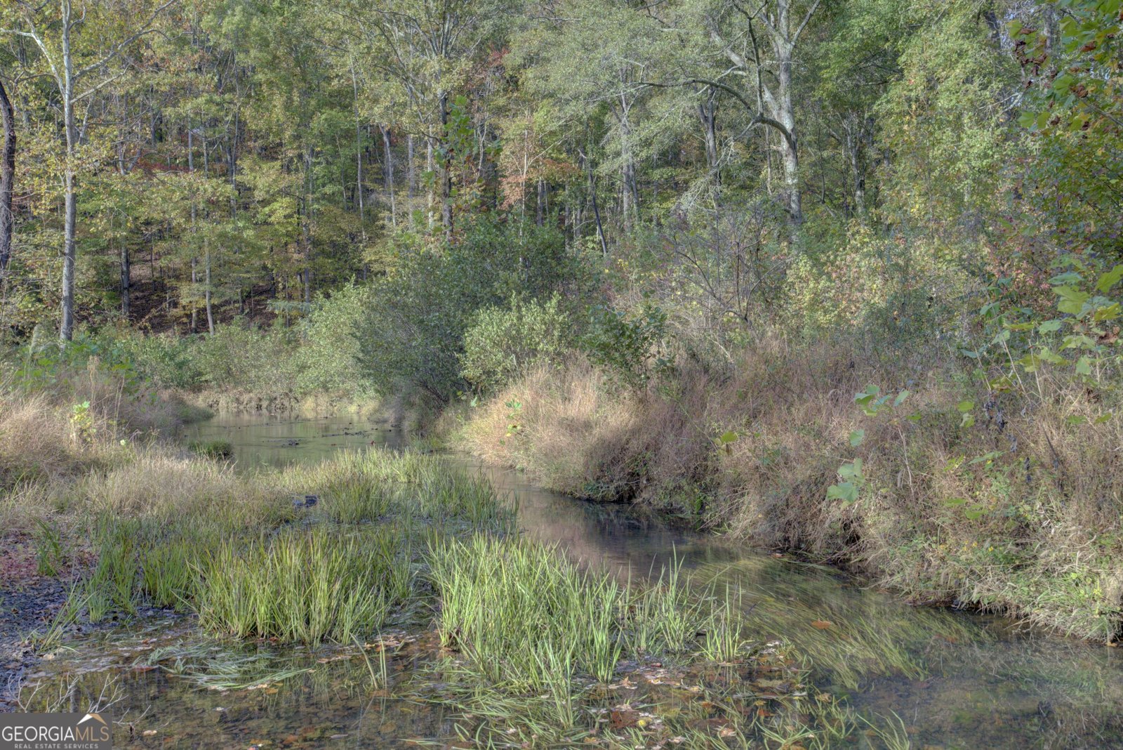 431 Abrams Road Silver Creek - Photo 76